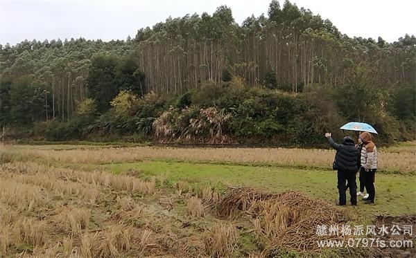 沙坪坝区陈老师带着爱徒寻龙点穴